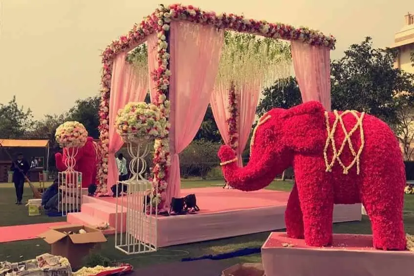 Wedding Gallery